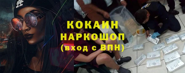 дживик Арсеньев
