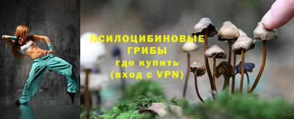 дживик Арсеньев