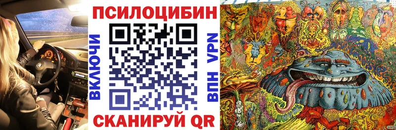 Купить закладки  Киренск  Галлюциногенные грибы GOLDEN TEACHER 